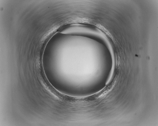 X0000073900581200608111132