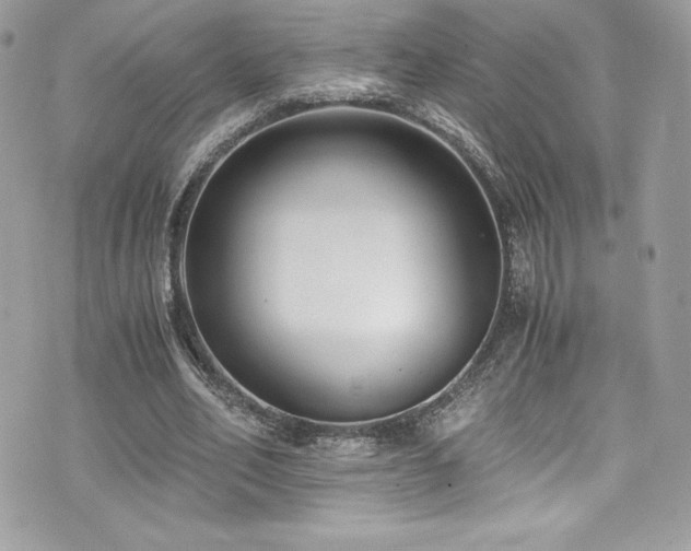 X0000073900582200608111132