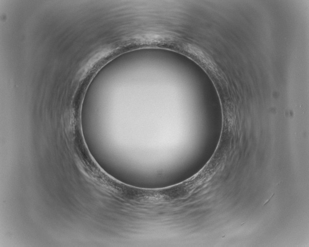 X0000073900583200608111132