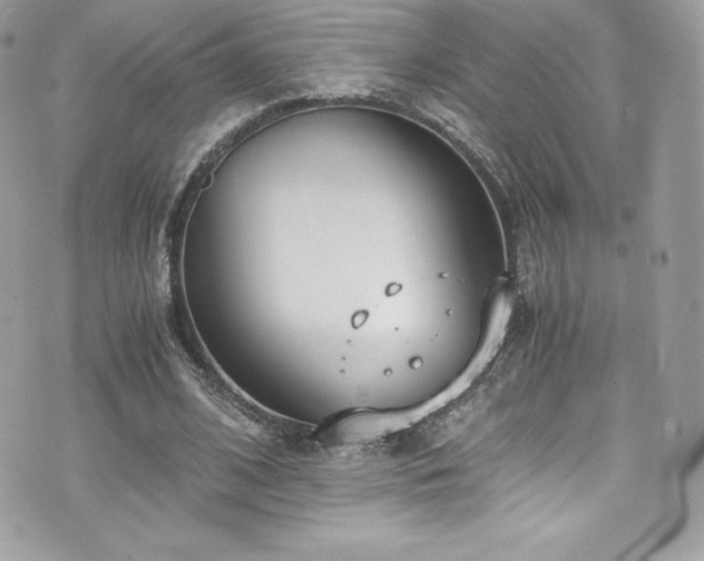 X0000073900584200608111132