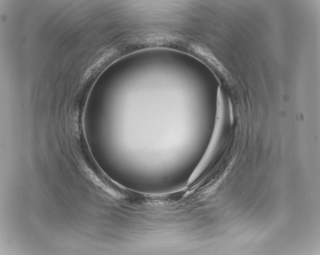 X0000073900585200608111132