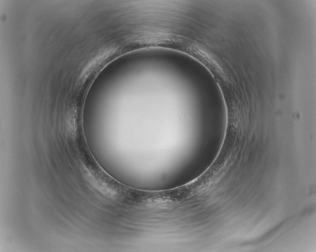 X0000073900586200608111132