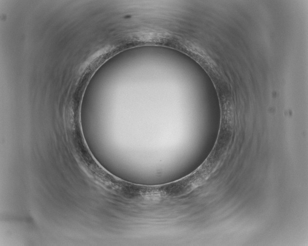 X0000073900587200608111132