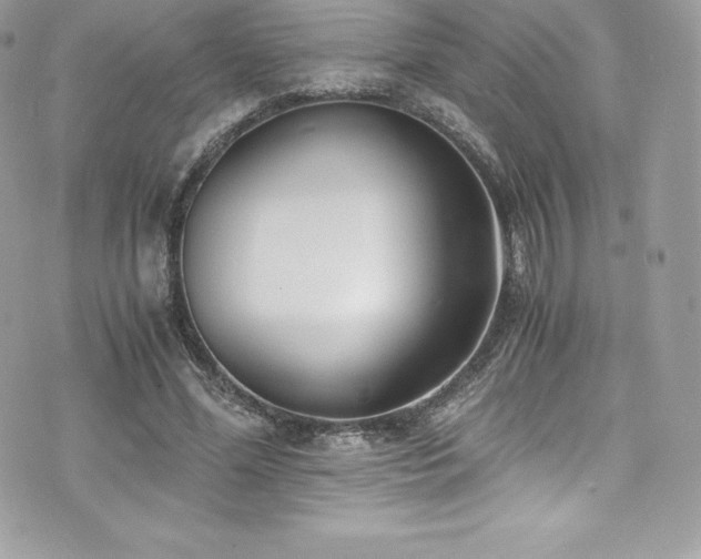 X0000073900588200608111132