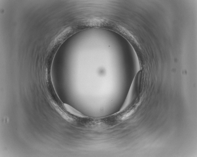 X0000073900589200608111132