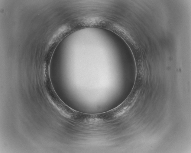 X0000073900590200608111132