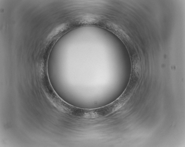 X0000073900591200608111132