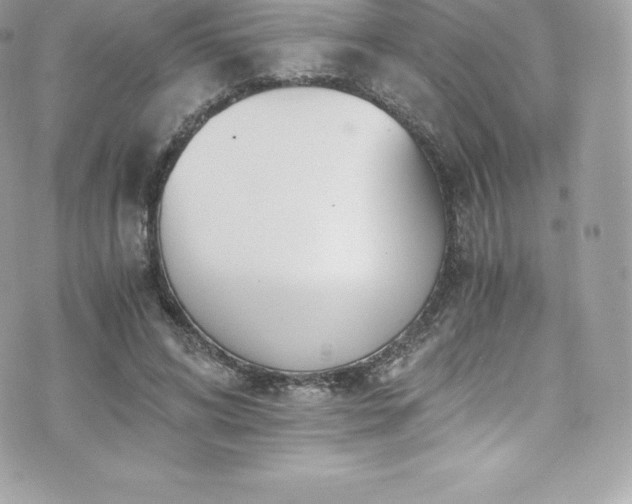 X0000073900592200608111132