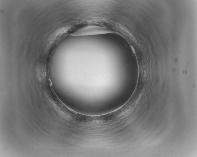 X0000073900593200608111132