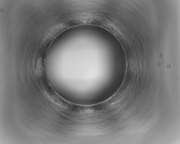 X0000073900594200608111132