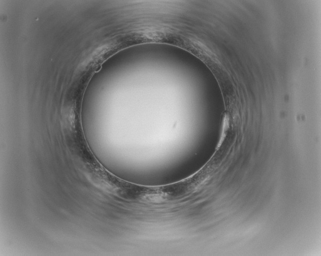 X0000073900595200608111132