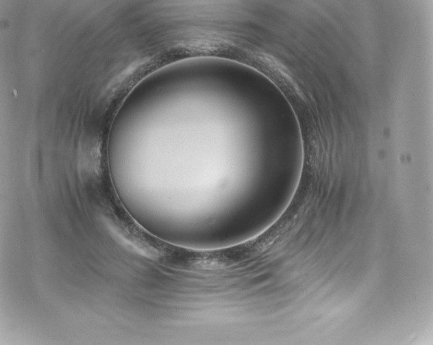 X0000073900596200608111132