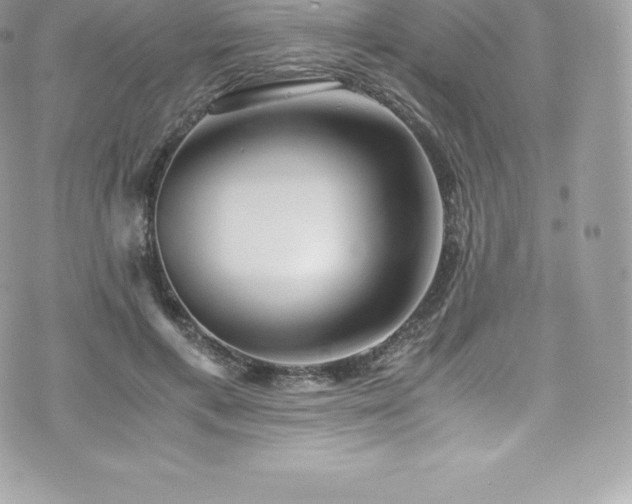 X0000073900597200608111132