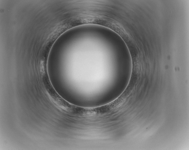 X0000073900598200608111132