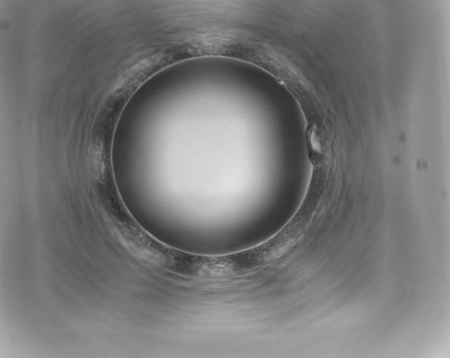 X0000073900599200608111132