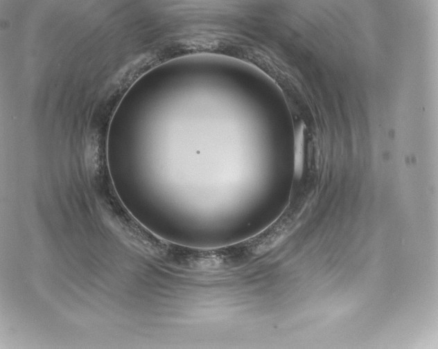 X0000073900600200608111132