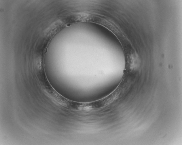 X0000073900602200608111132