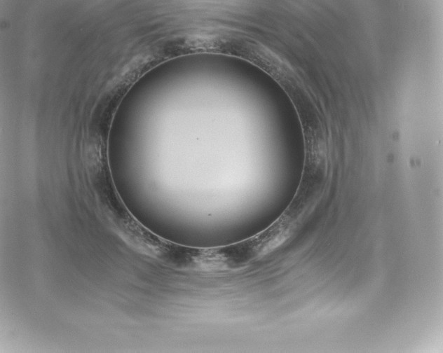 X0000073900603200608111132