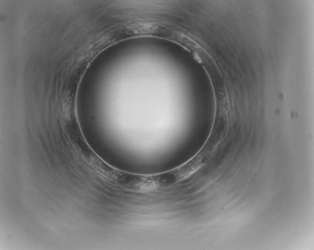 X0000073900604200608111132