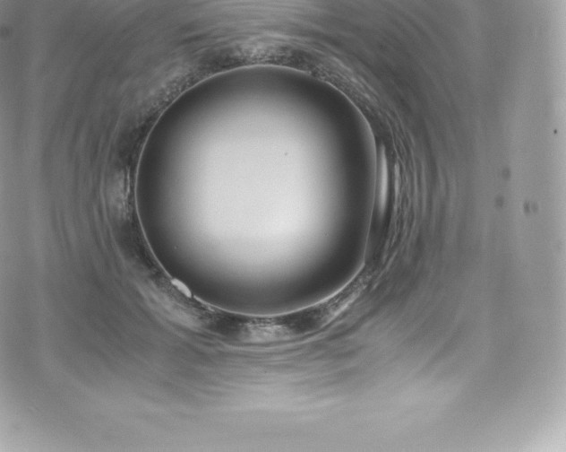 X0000073900605200608111132