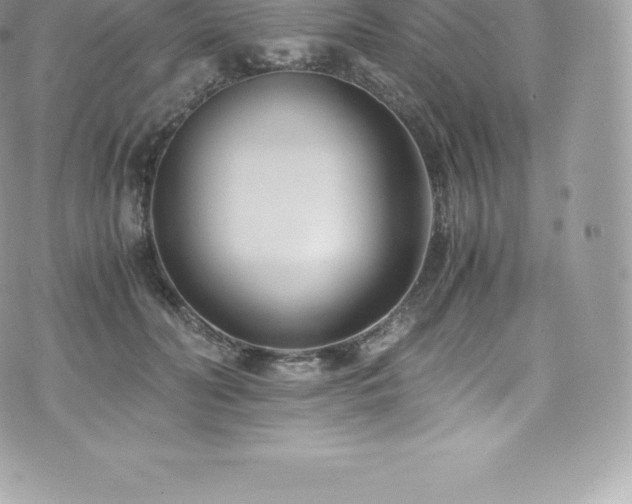 X0000073900606200608111132