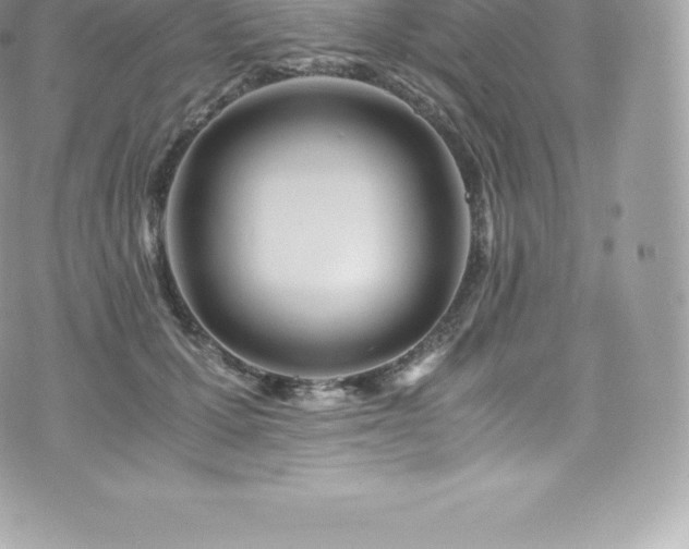 X0000073900607200608111132