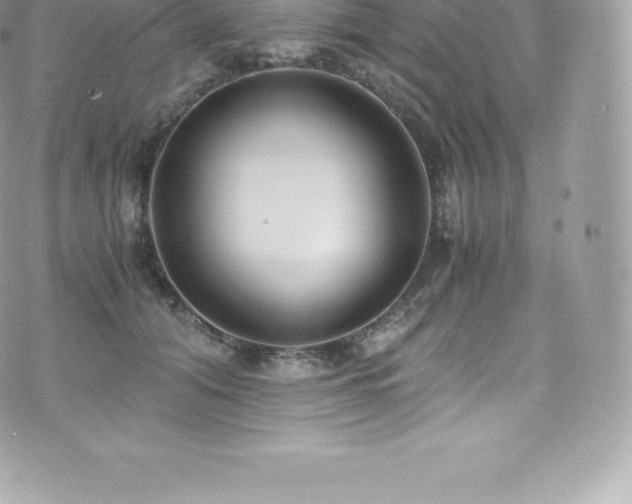 X0000073900608200608111132