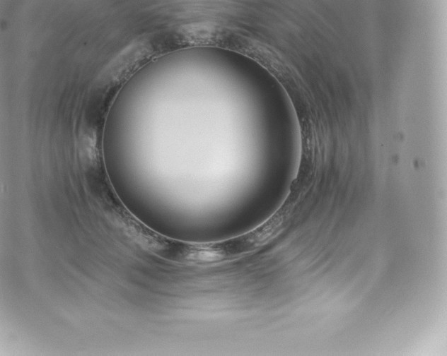 X0000073900610200608111132