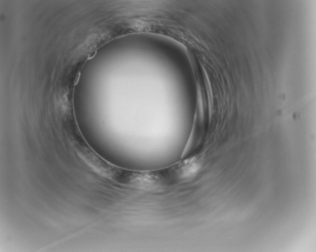 X0000073900611200608111132