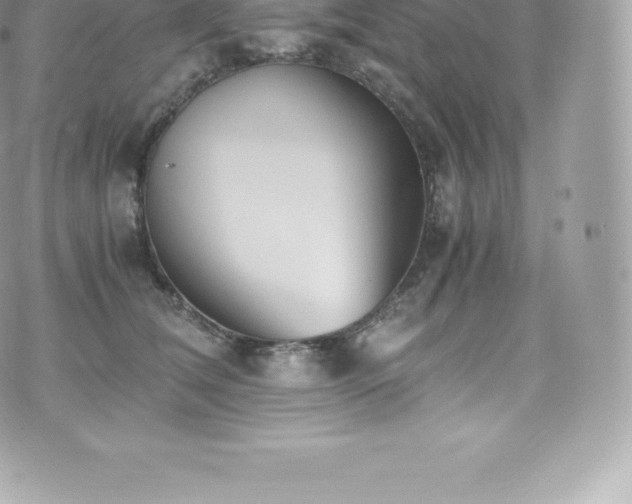 X0000073900612200608111132