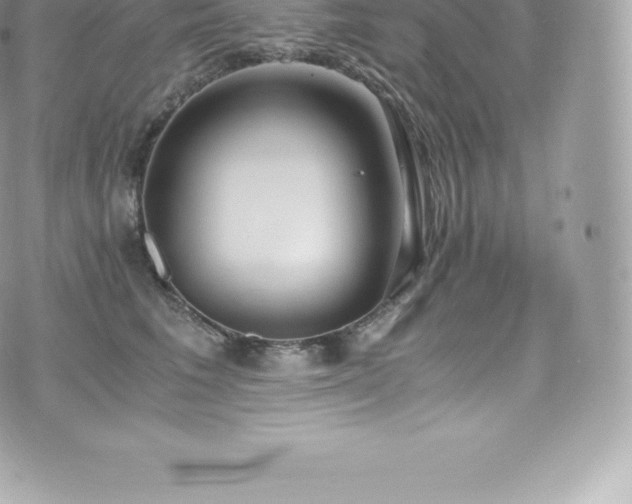 X0000073900613200608111132