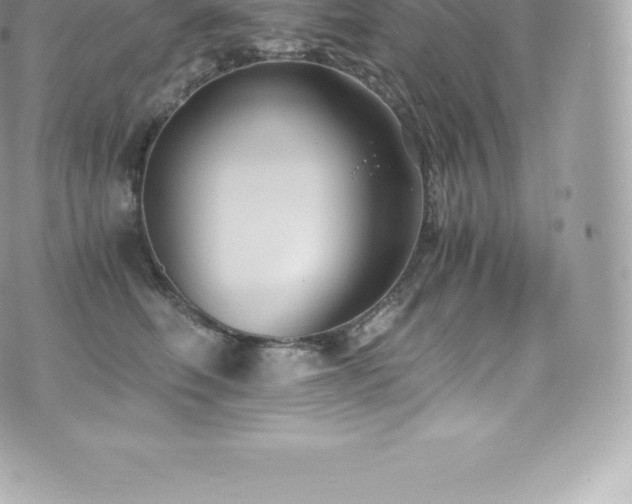 X0000073900614200608111132