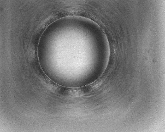 X0000073900615200608111132