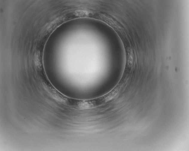 X0000073900616200608111132