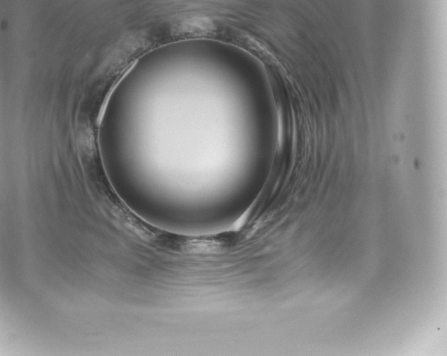 X0000073900617200608111132