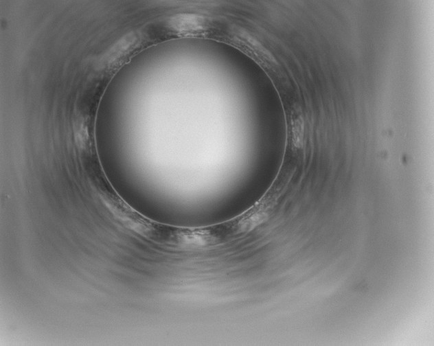 X0000073900618200608111132