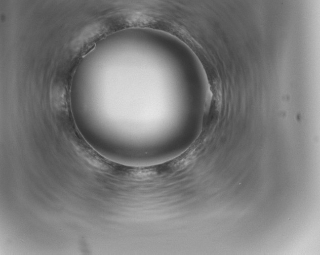 X0000073900619200608111132