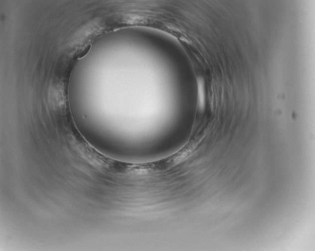 X0000073900620200608111132