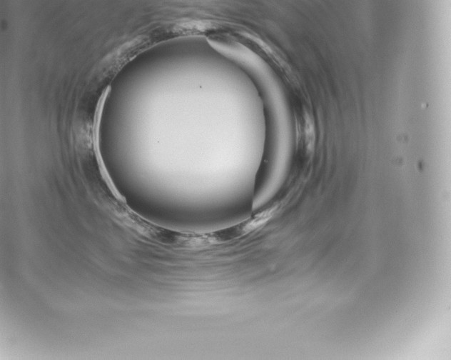 X0000073900621200608111132