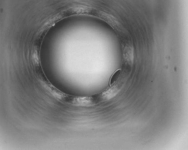 X0000073900622200608111132