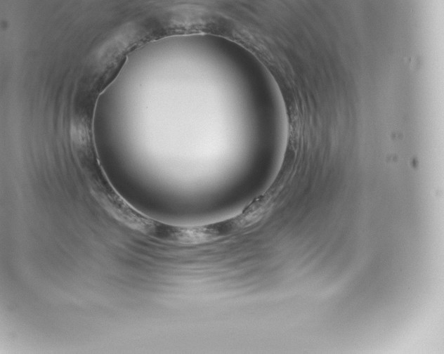 X0000073900623200608111132