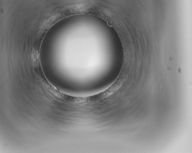 X0000073900624200608111132