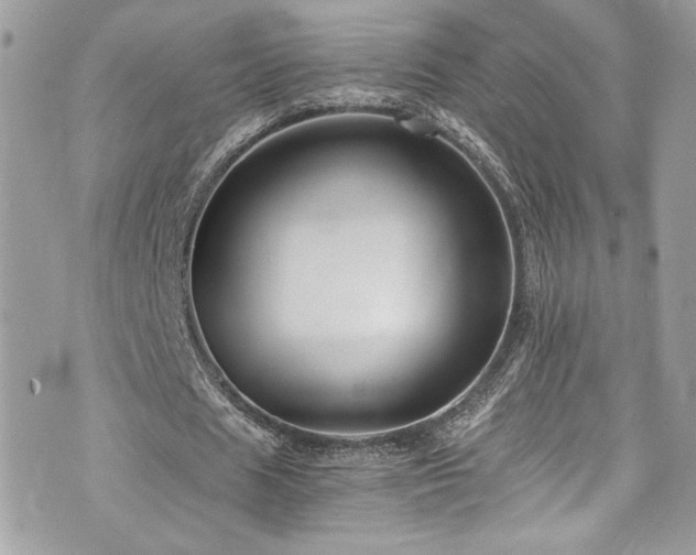 X0000073900625200608111131