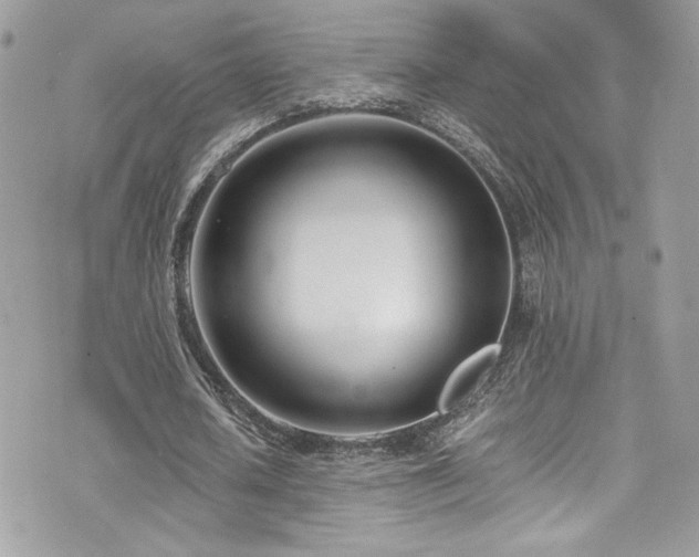 X0000073900626200608111131