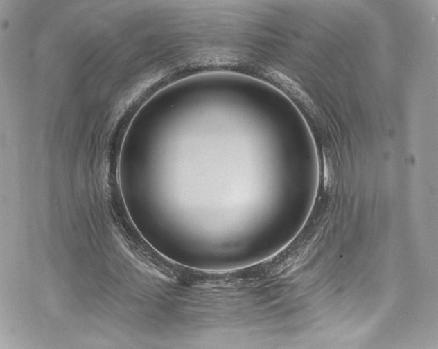 X0000073900627200608111131