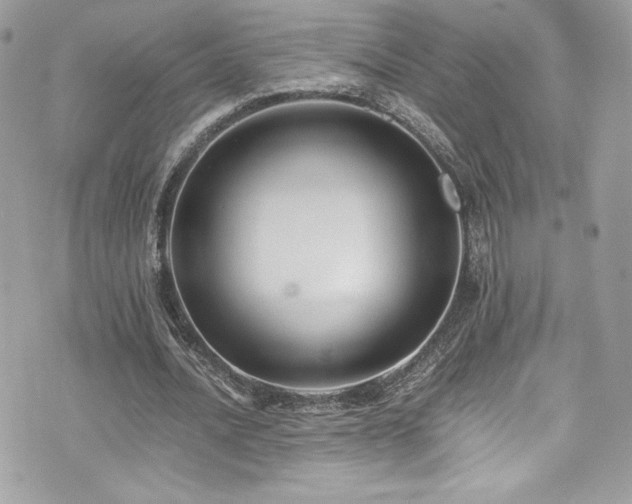 X0000073900628200608111131