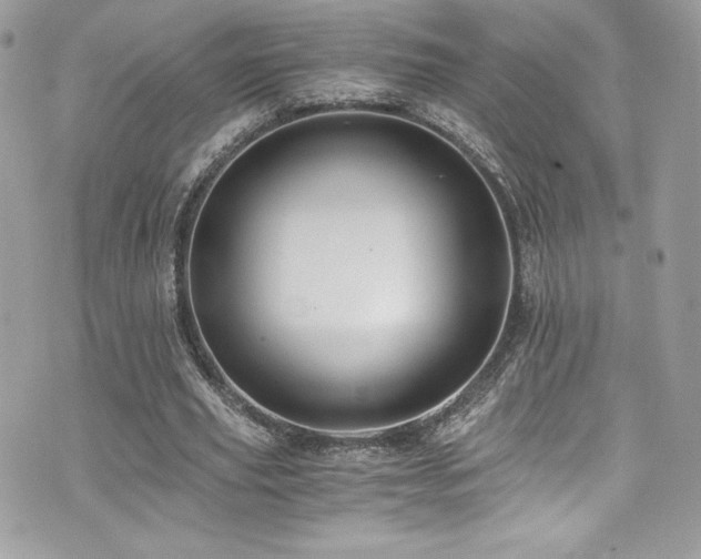 X0000073900629200608111131