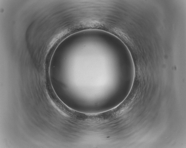 X0000073900630200608111131