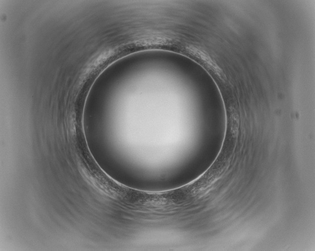 X0000073900631200608111131