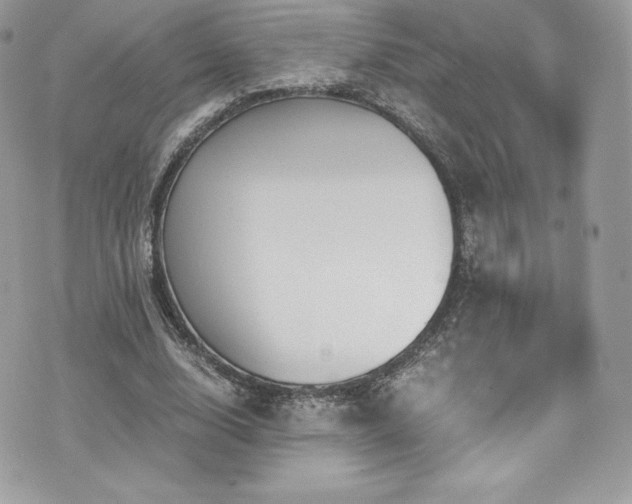 X0000073900632200608111131